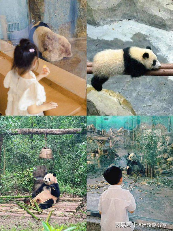 少钱 成都旅游团 实用分享收藏篇!麻将胡了试玩网站免费成都7日游多(图3) 少钱 成都旅游团 实用分享收藏篇!麻将胡了试玩网站免费成都7日游多(图3)