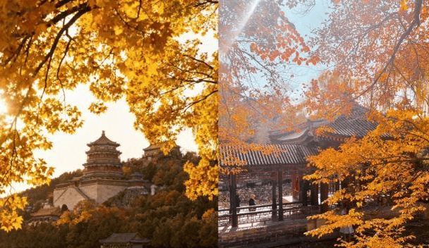 旅游 天 4 晚纯玩路线打卡地标花费透明省心不踩坑麻将胡了2025 跟团游北京 5 天费用公开！北京(图2)